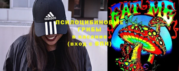 дурь Богданович