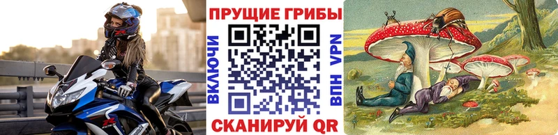 сколько стоит  Нижний Тагил  Псилоцибиновые грибы Magic Shrooms 