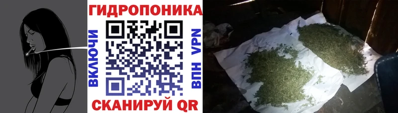 Канабис OG Kush  наркотики  Нижний Тагил 
